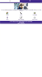 Mobile Screenshot of castinocorp.com